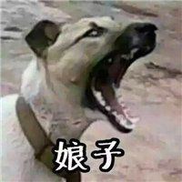 鬼畜头像搞笑图片|超丑头像 搞笑 鬼畜