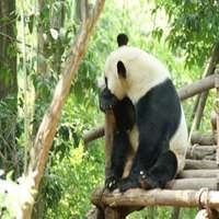 米乐体育官方网站罗纳尔迪尼奥（米乐体育官方app下载）