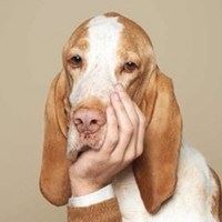 米乐体育官方网站罗纳尔迪尼奥（米乐体育官方app下载）