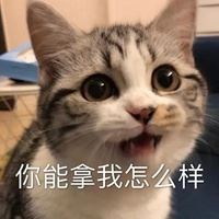 头像 豆瓣-头像 豆瓣