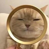 个性搞怪沙雕头像-高清搞笑逗比沙雕又个性的头像图片