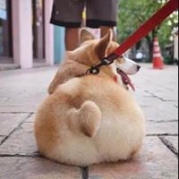 个性搞怪沙雕头像-高清搞笑逗比沙雕又个性的头像图片