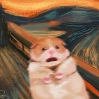 沙雕动物图片头像（特别沙雕的头像卡通）