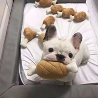 沙雕动物图片头像（特别沙雕的头像卡通）