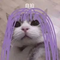 又霸气又沙雕的头像（沙雕又不失帅气的头像男）