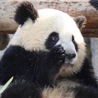 搞笑又沙雕的微信头像 头像图片 微信 沙雕