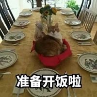 准备开饭了图片搞笑-开饭了的图片