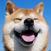 沙雕狗子图片头像 狗头像沙雕微信头像