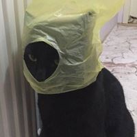 沙雕人物图片搞笑 那些搞笑沙雕令人动容