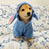 今日份沙雕图片|过年沙雕图