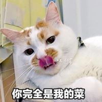个性精致沙雕的动漫头像-沙雕个性头像图片