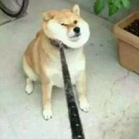 很智障的头像（智障头像微信）
