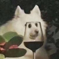很智障的头像（智障头像微信）