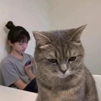鲨鱼沙雕图片（沙雕绿鱼头头像）