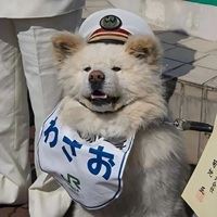 让别人感觉很沙雕的头像|一眼就很喜欢的沙雕头像