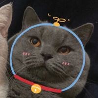 2022年沙雕头像_2022最新头像沙雕