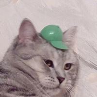 动物头像图片 沙雕_沙雕动物表情包头像