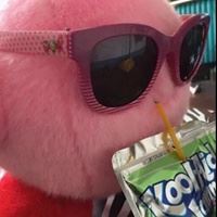 动物头像图片 沙雕_沙雕动物表情包头像