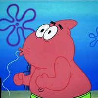 动物头像图片 沙雕_沙雕动物表情包头像