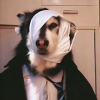 动物头像图片 沙雕_沙雕动物表情包头像