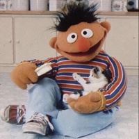 动物头像图片 沙雕_沙雕动物表情包头像