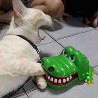 新的一组沙雕头像 让人眼前一亮的沙雕头像