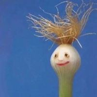 搞笑的沙雕图片（有没有好看的沙雕搞笑图片）