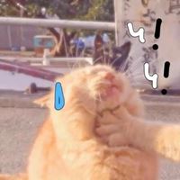 好看的沙雕情头（情侣头像沙雕个性情头一对）
