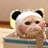 傻吊闺蜜头像（基友头像搞笑逗比一对）