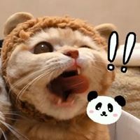 傻吊闺蜜头像（基友头像搞笑逗比一对）