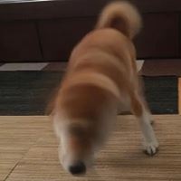 头像简单沙雕|个性头像沙雕