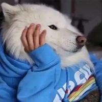 沙雕智障图片（我是沙雕头像）