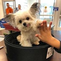 憨憨头像 沙雕|沙雕憨憨的情头