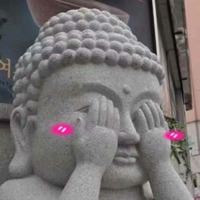 2022年沙雕头像|2022最新沙雕情头