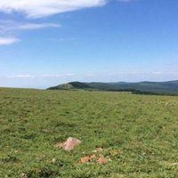 唯美草坪男生头像|草坪壁纸图片