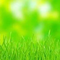 唯美草坪男生头像|草坪壁纸图片