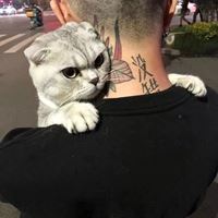 真人男头长发###长发真人男头像（真人男头长发###长发真人男头像）