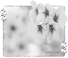 可爱QQ头像 www.bugela.com