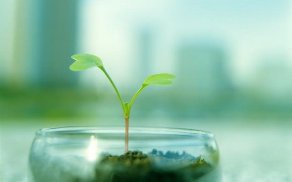 绿色植物可爱美图 www.bugela.com 