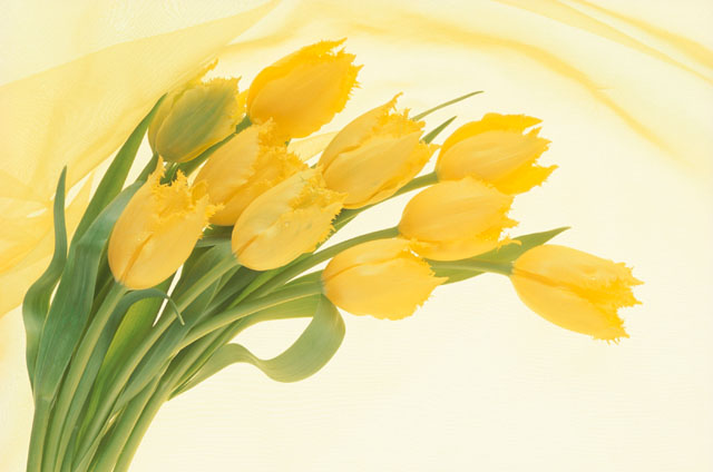 春暖花开非主流可爱美图