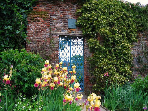 美丽的小镇花园风景图片之二