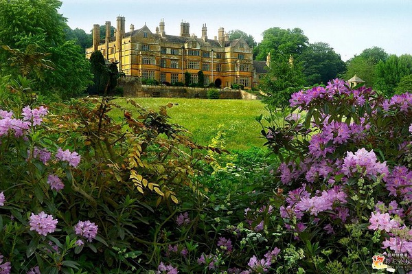 美丽的小镇花园风景图片之七