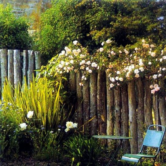 美丽的小镇花园风景图片之七