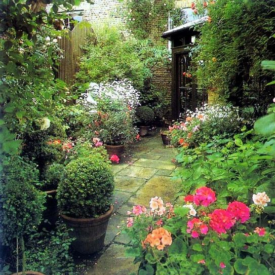 美丽的小镇花园风景图片之七