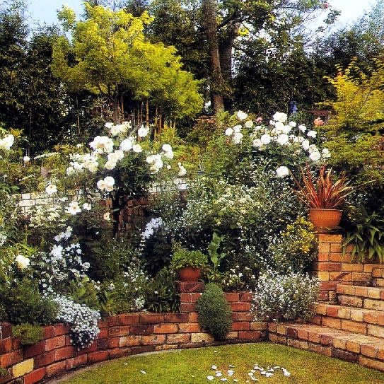 美丽的小镇花园风景图片之七