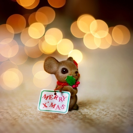 圣诞节节日图片