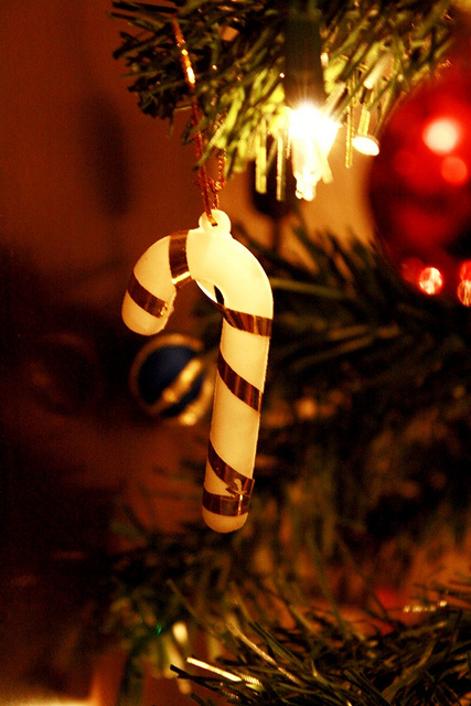 圣诞节节日图片