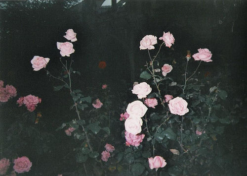 文艺小清新LOMO图片