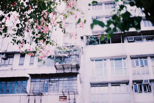 文艺小清新LOMO图片