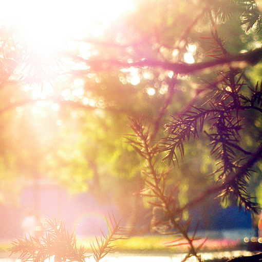 美丽的夕阳 唯美意境图片